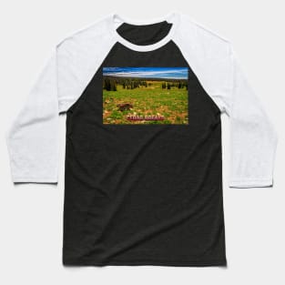 Cedar Breaks National Monument Baseball T-Shirt